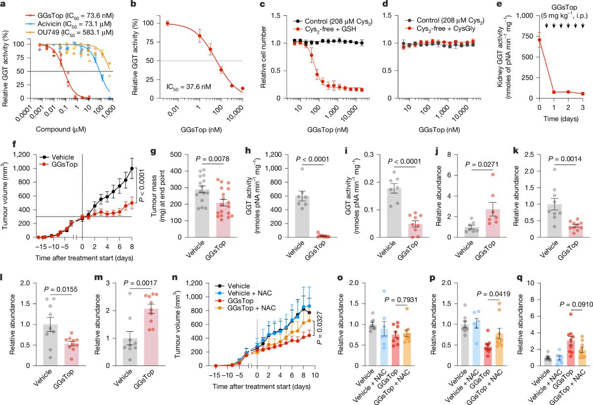 glutathione for kidney disease Glutathione Metabolism in Renal Cell Carcinoma Progression and Implications  for Therapies
