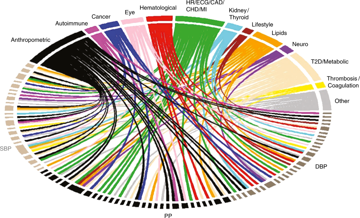 Coresight-Labs Startup-Database v5 11.30 | PDF, image size:1200x728