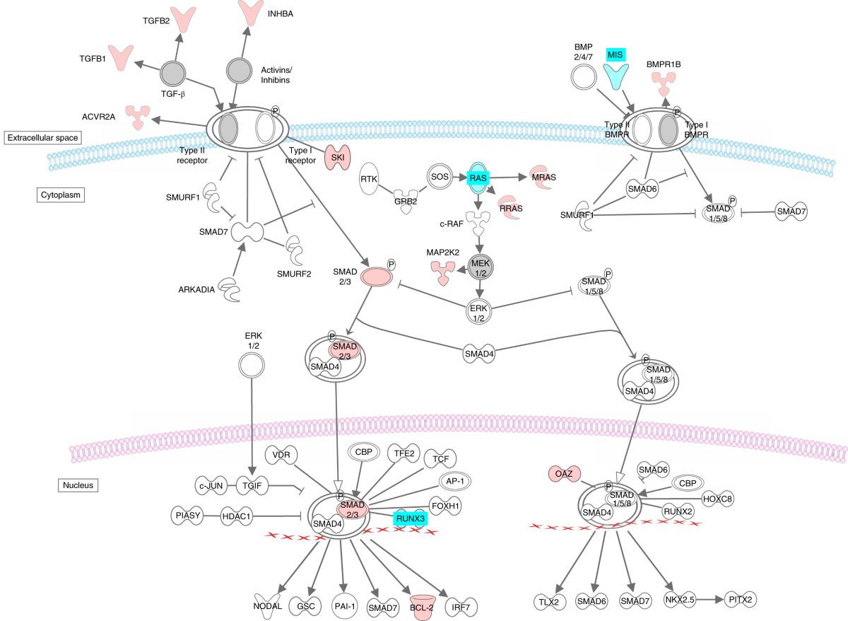 Annual Report 2009-2010, image size:1200x878