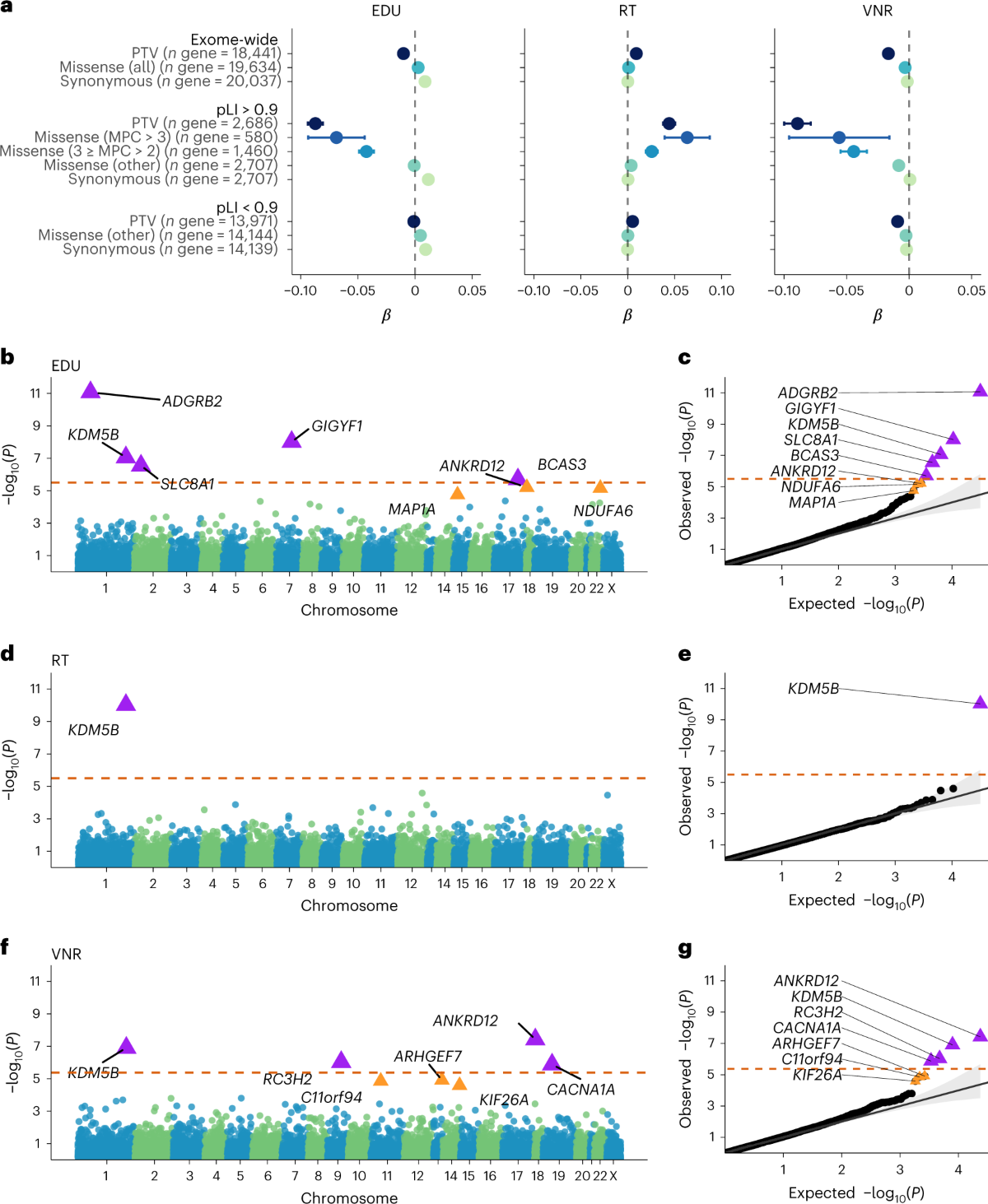 The impact of rare protein coding genetic variation on adult cognitive  function | Nature Genetics