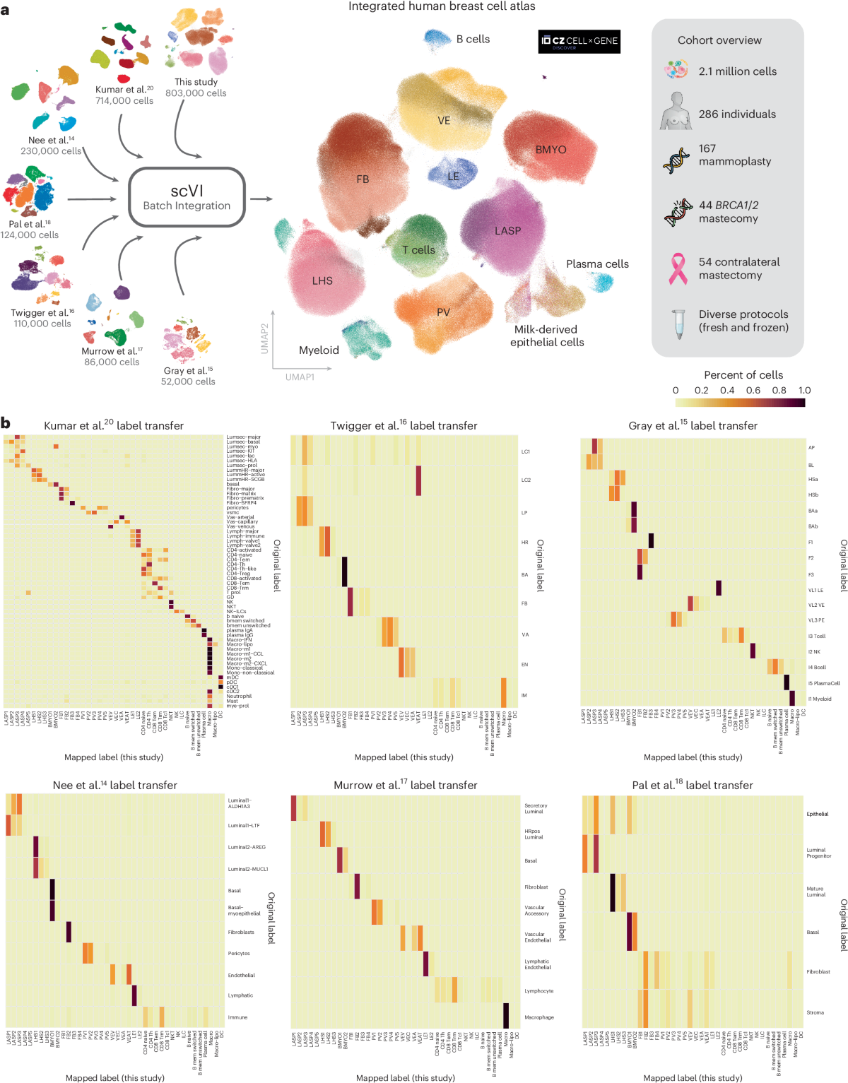A single-cell atlas enables mapping of homeostatic cellular shifts in the  adult human breast | Nature Genetics