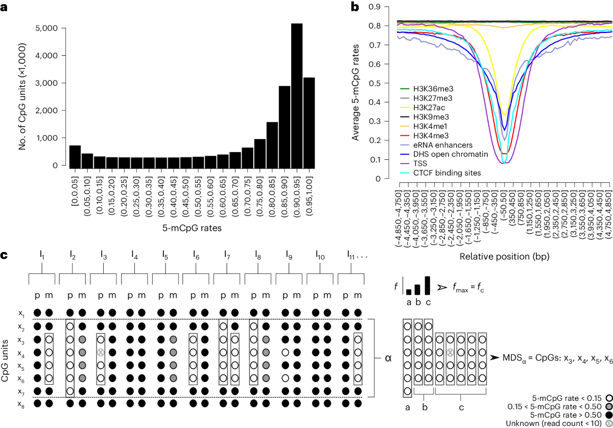 The correlation between CpG methylation and gene expression is driven by sequence variants | Nature Genetics the-correlation-between-cpg-methylation-and-gene-expression-is-driven-by-sequence-variants-nature-genetics