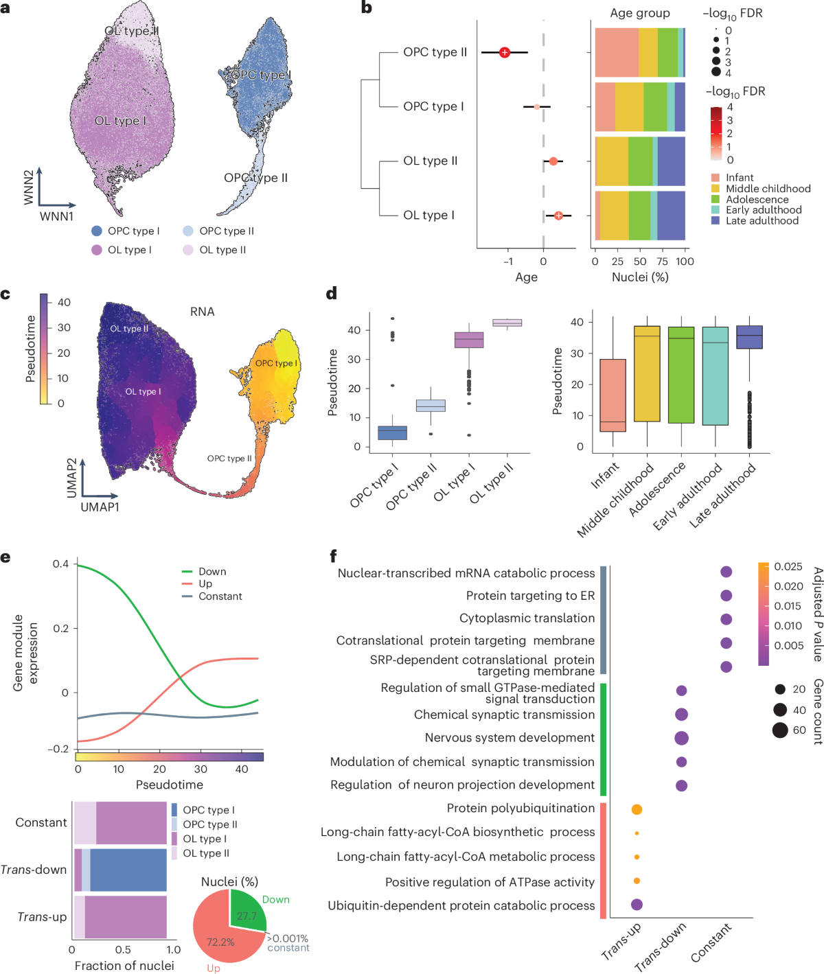 Multiomic single-cell profiling identifies critical regulators of postnatal  brain | Nature Genetics