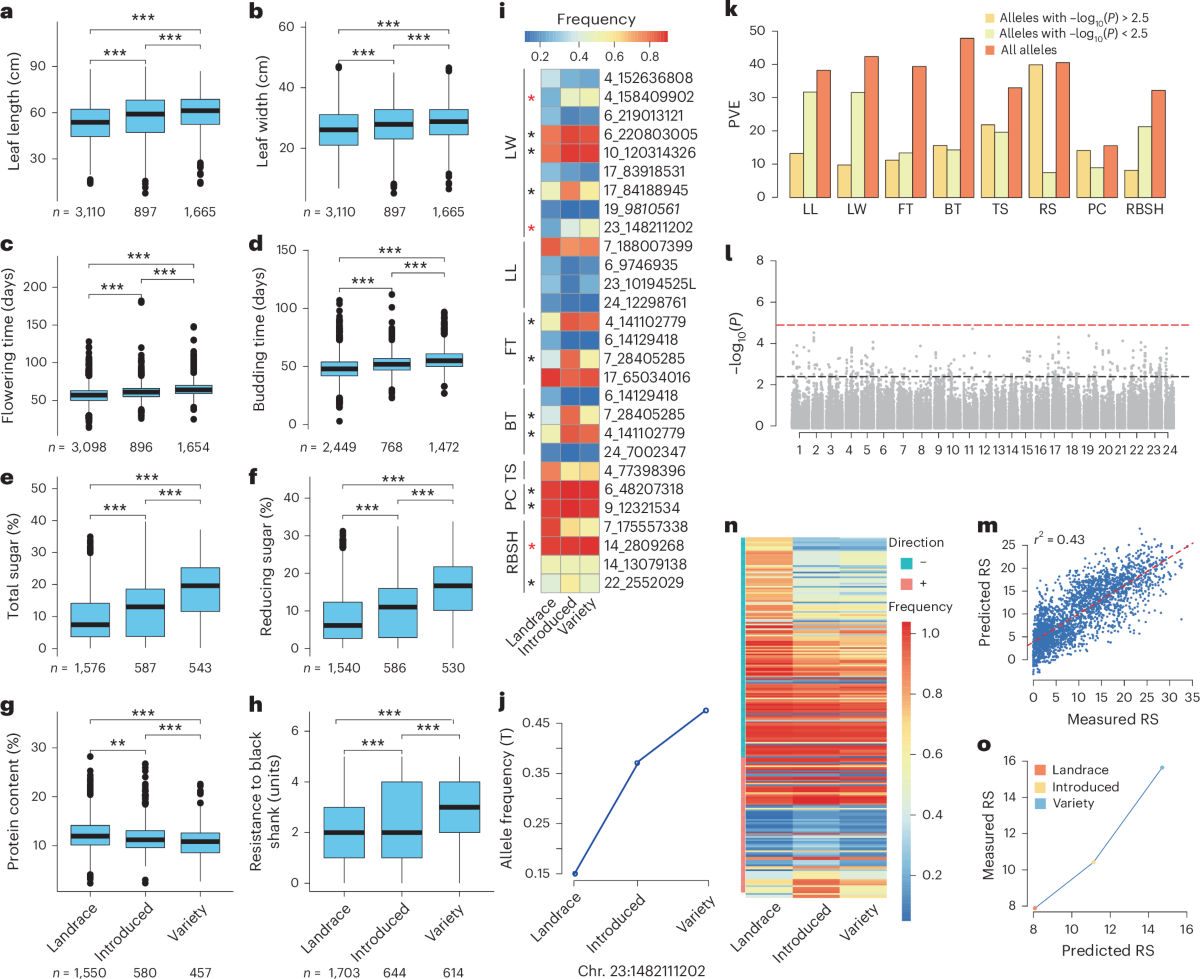 tobacco genome database The genome and GeneBank genomics of allotetraploid Nicotiana tabacum  provide insights into genome evolution and complex trait regulation