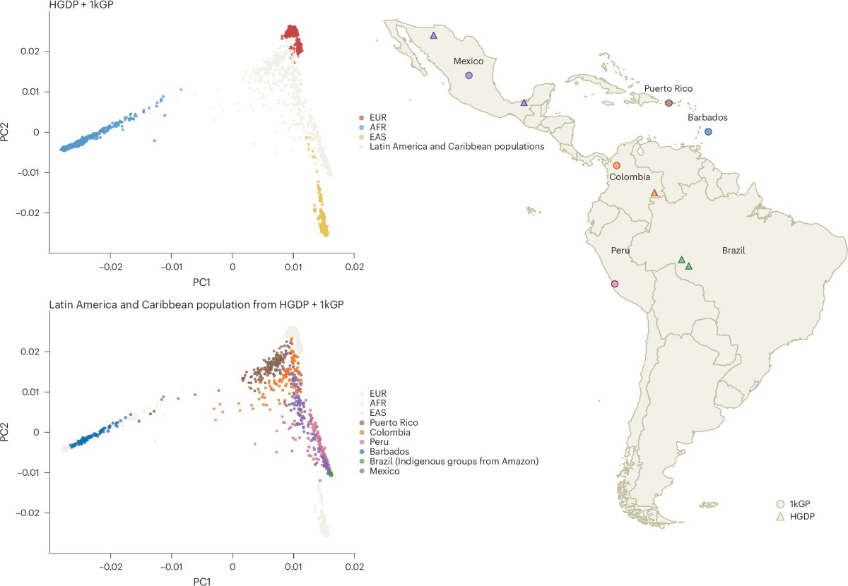 Psychiatric genetics in the diverse landscape of Latin American populations  | Nature Genetics
