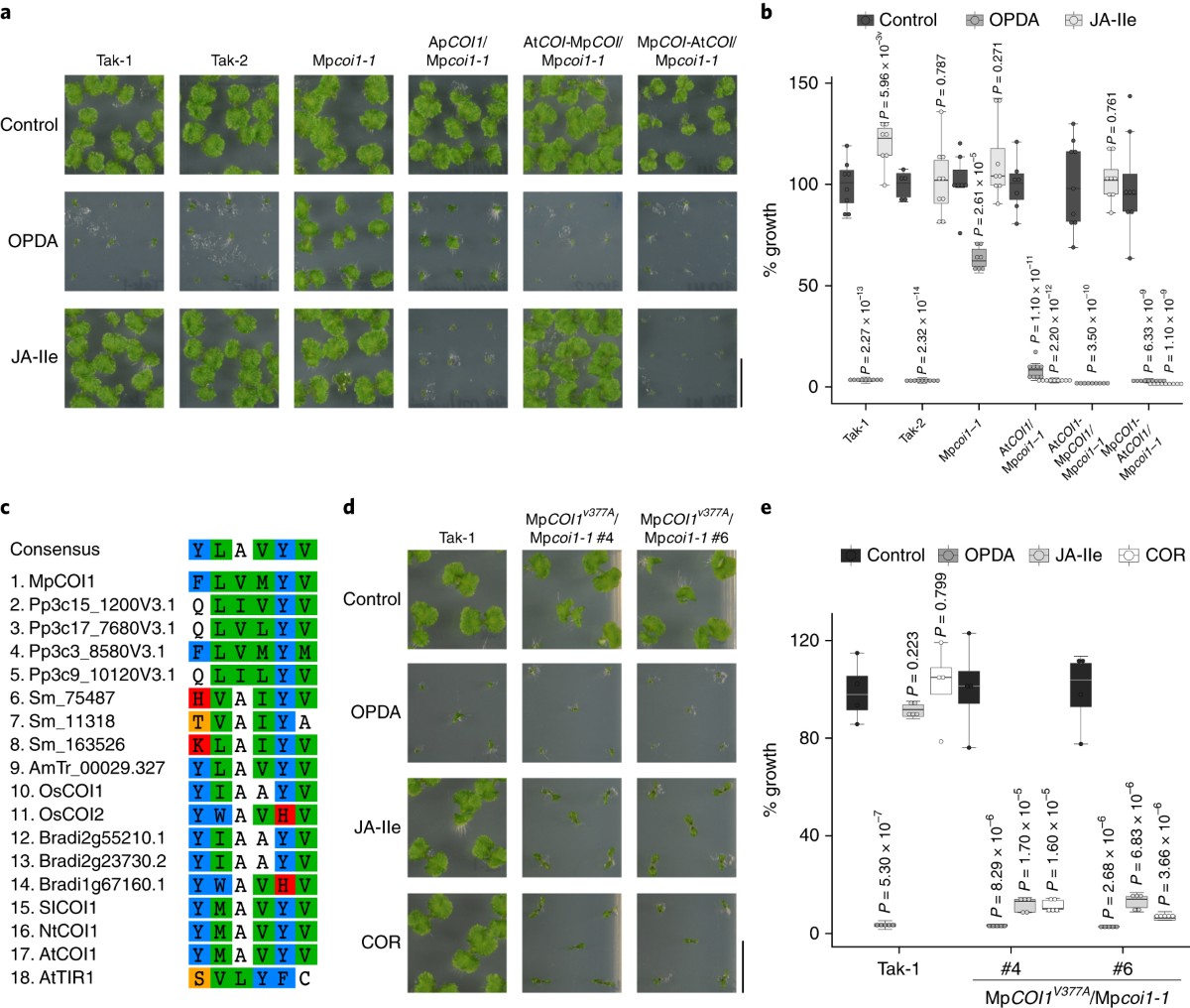 Ligand-receptor co-evolution shaped the jasmonate pathway in land plants |  Nature Chemical Biology