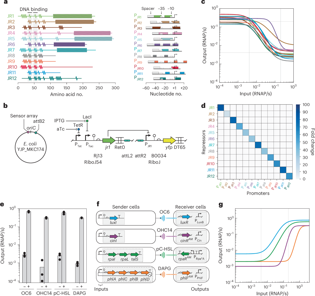 Partitioning of a 2-bit hash function across 66 communicating cells |  Nature Chemical Biology