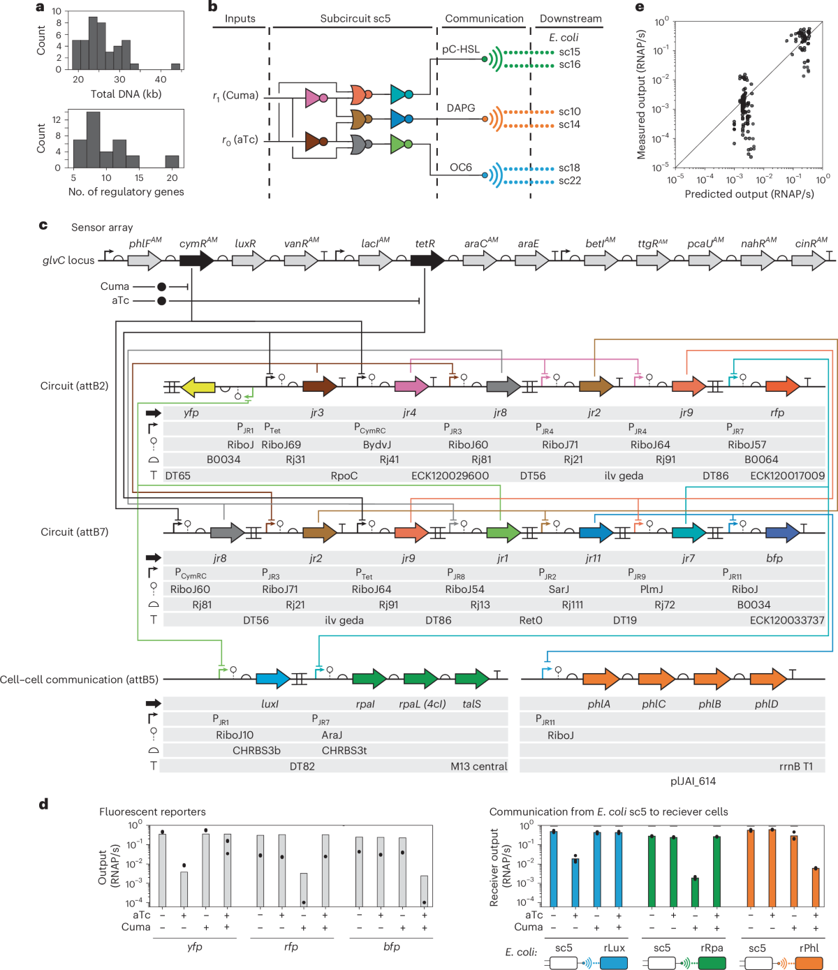 Partitioning of a 2-bit hash function across 66 communicating cells |  Nature Chemical Biology