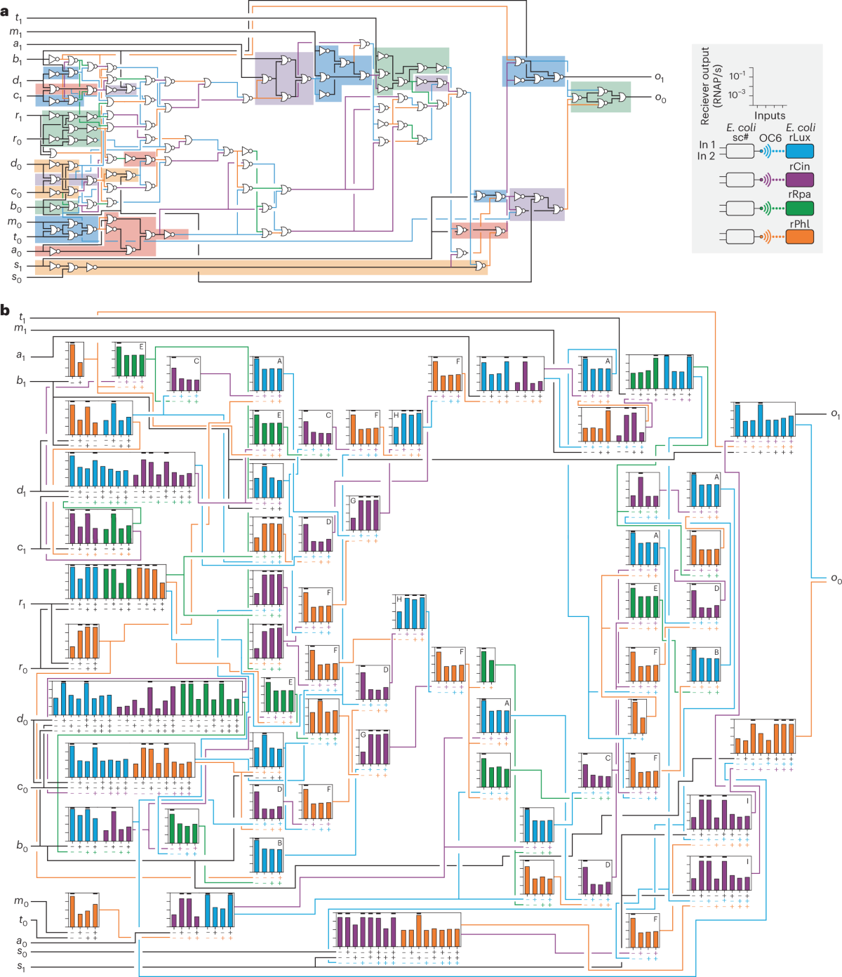 Partitioning of a 2-bit hash function across 66 communicating cells |  Nature Chemical Biology