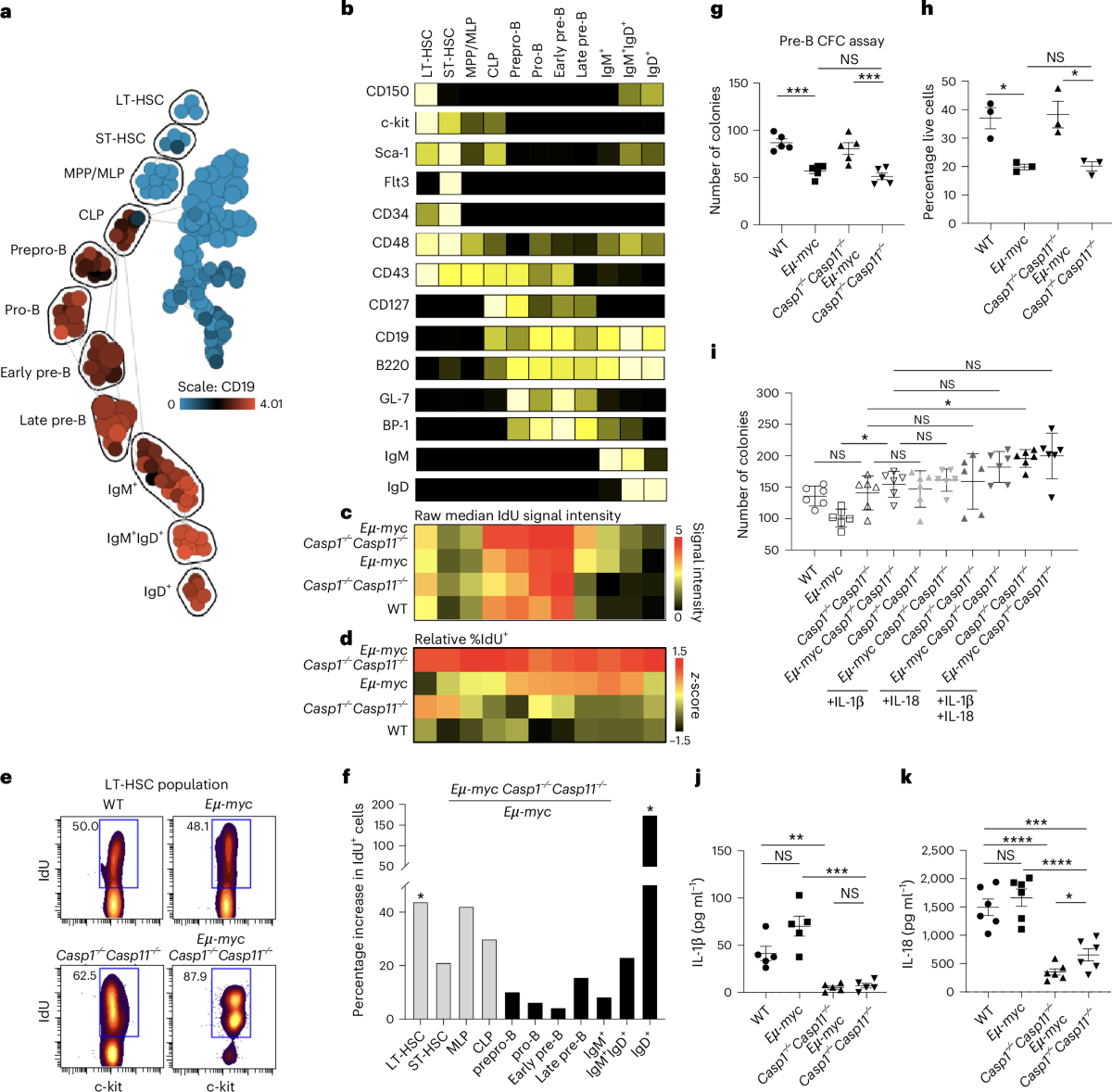 A stromal inflammasome Ras safeguard against Myc-driven lymphomagenesis |  Nature Immunology