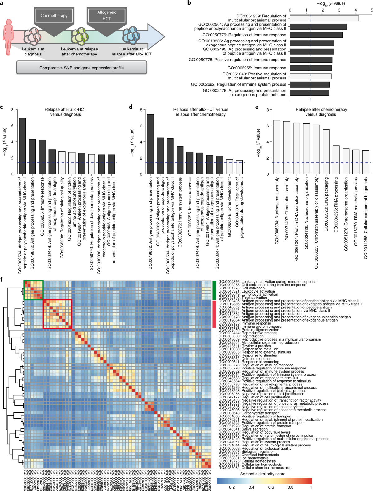 A “True Likeness”: The Renaissance City Portrait* | Renaissance Quarterly |  Cambridge Core, image size:1200x1576
