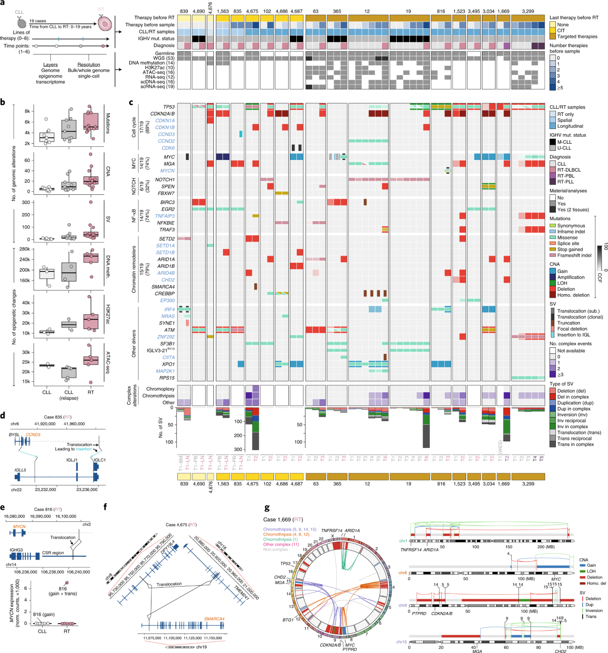 Detection of early seeding of Richter transformation in chronic lymphocytic leukemia | Nature Medicine detection-of-early-seeding-of-richter-transformation-in-chronic-lymphocytic-leukemia-nature-medicine