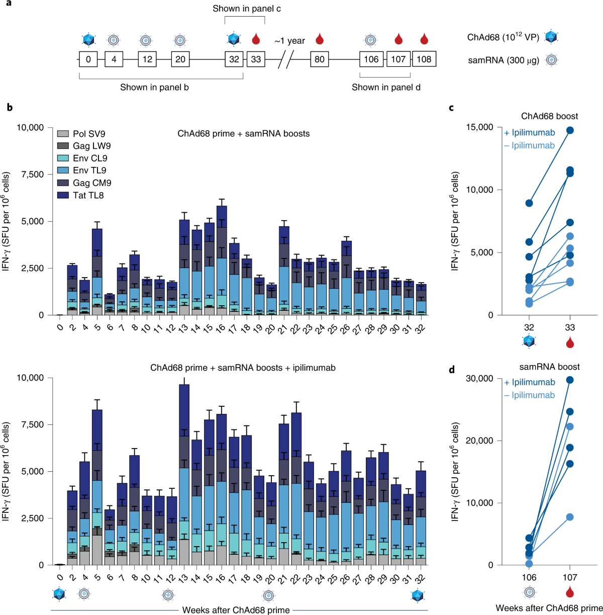 Individualized, heterologous chimpanzee adenovirus and self-amplifying mRNA  neoantigen vaccine for advanced metastatic solid tumors: phase 1 trial  interim results | Nature Medicine