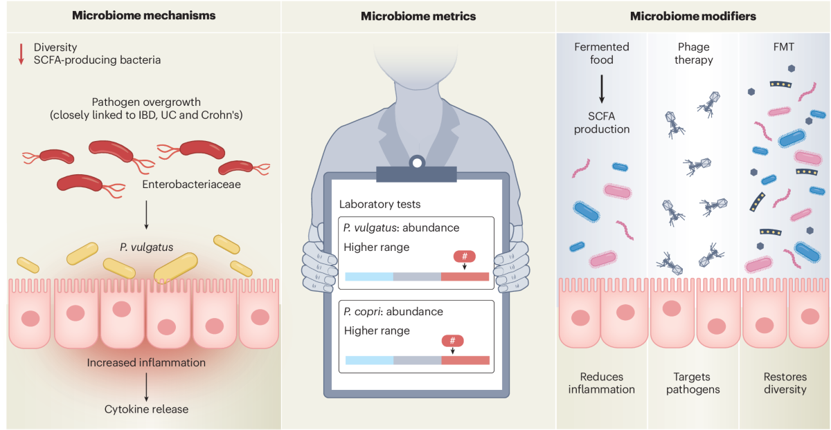 adding metformin to semaglutide Re-evaluating metformin in diabetes management