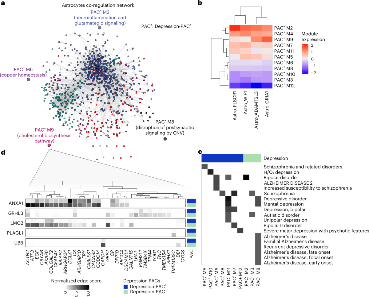 AI-based characterization of Alzheimer's disease phenotypes from  population-scale single-cell data | Nature Medicine (via www.nature.com)