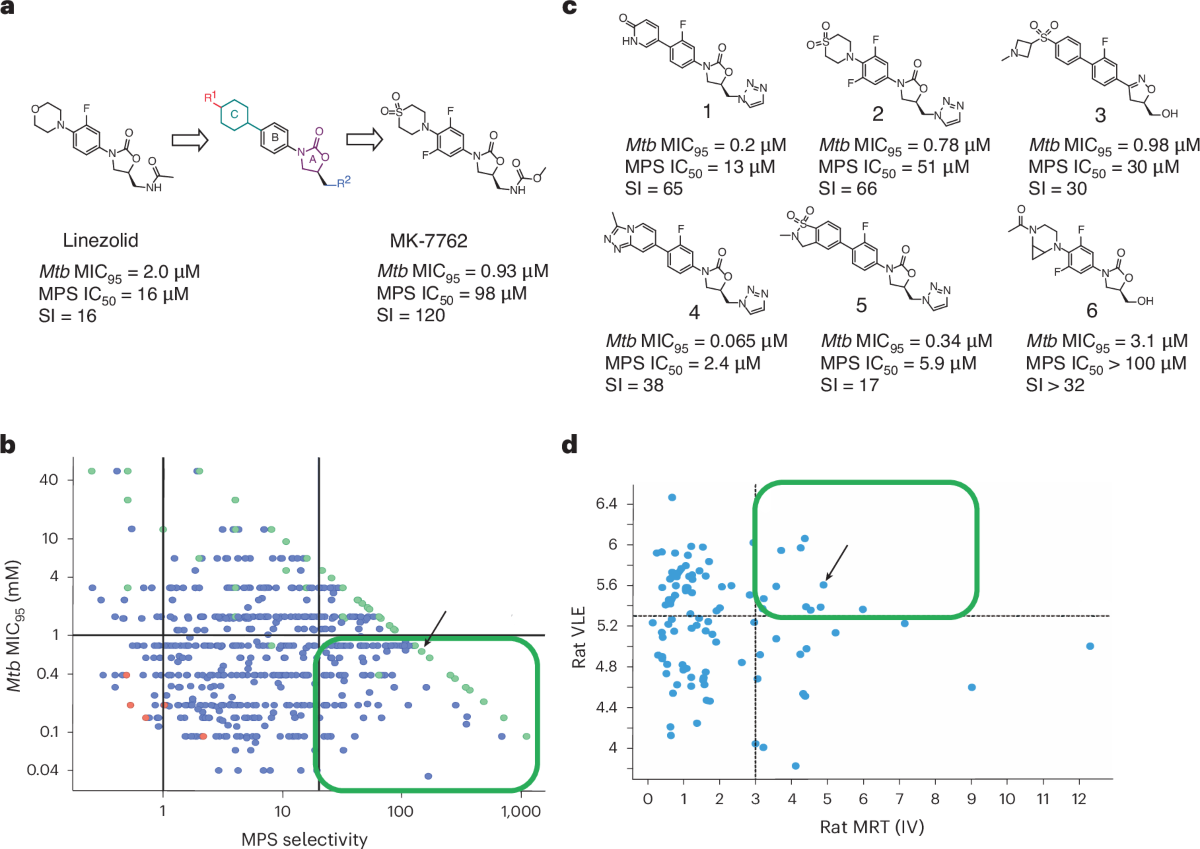Discovery and development of a new oxazolidinone with reduced toxicity for  the treatment of tuberculosis | Nature Medicine
