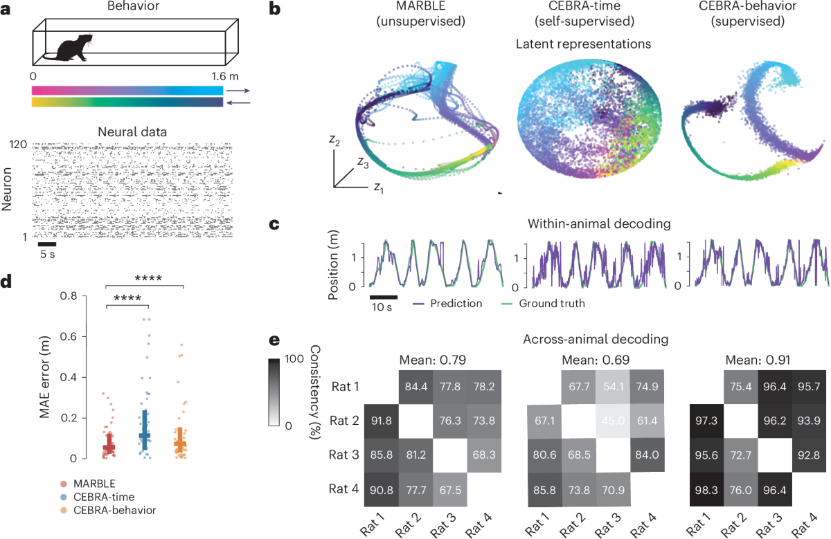 MARBLE: interpretable representations of neural population dynamics using  geometric deep learning | Nature Methods