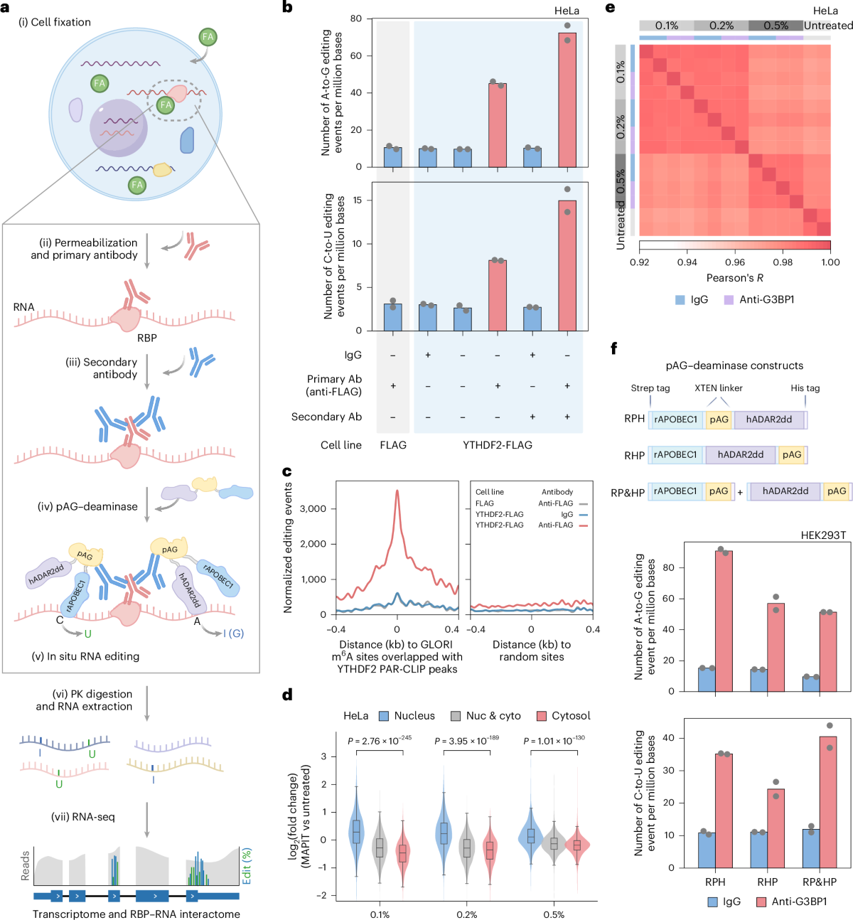 Co-profiling of in situ RNA-protein interactions and transcriptome in  single cells and tissues | Nature Methods