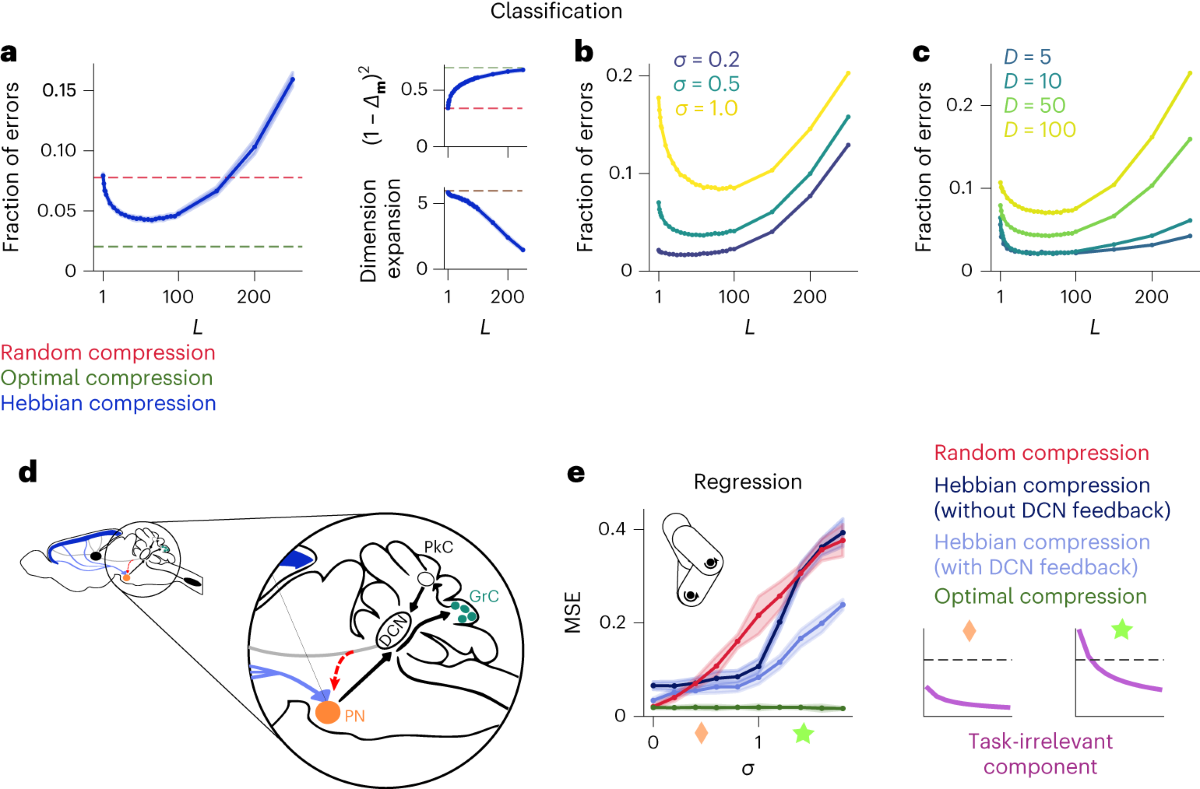 Optimal routing to cerebellum-like structures | Nature Neuroscience, image size:1200x789