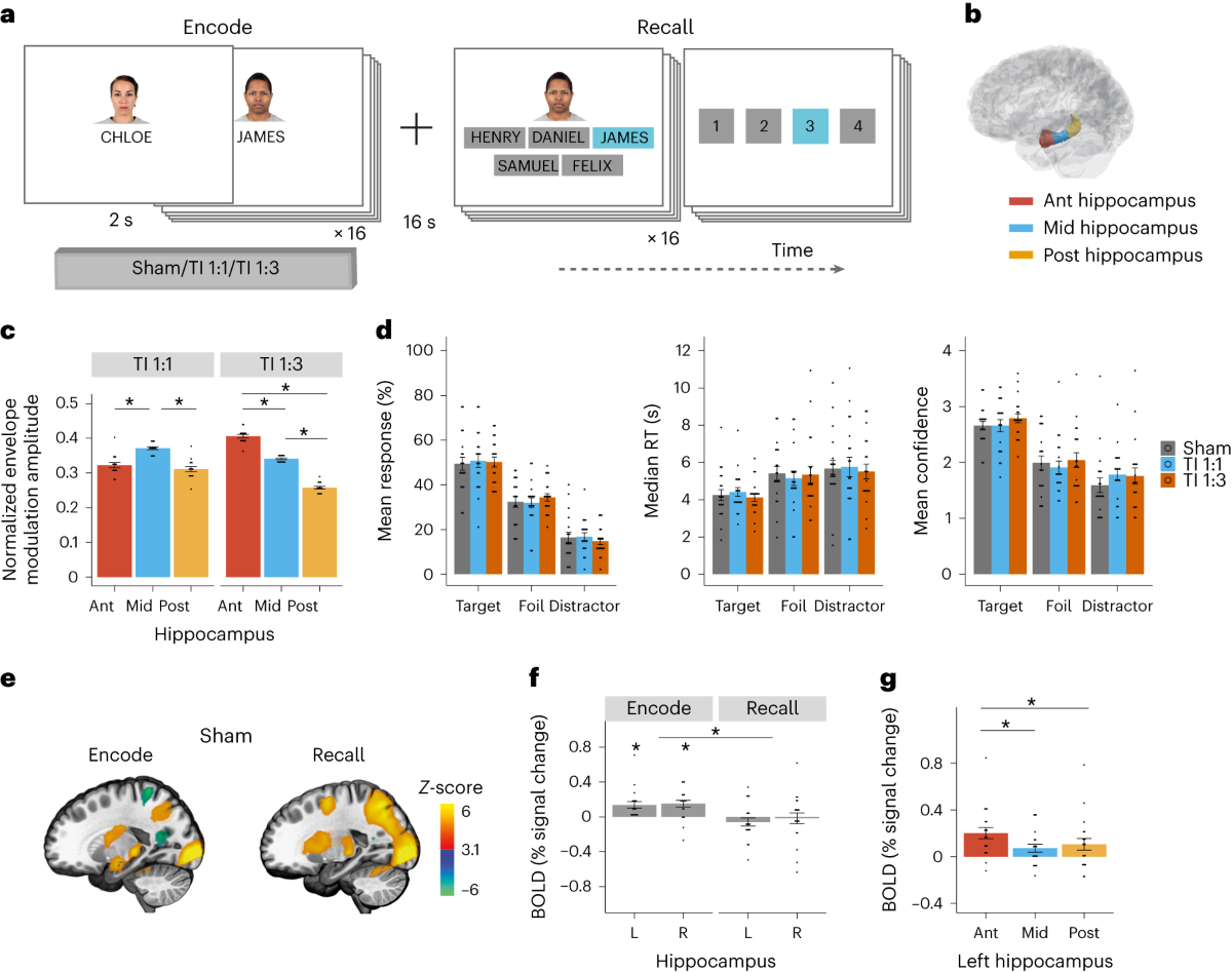 Non-invasive temporal interference electrical stimulation of the human  hippocampus | Nature Neuroscience