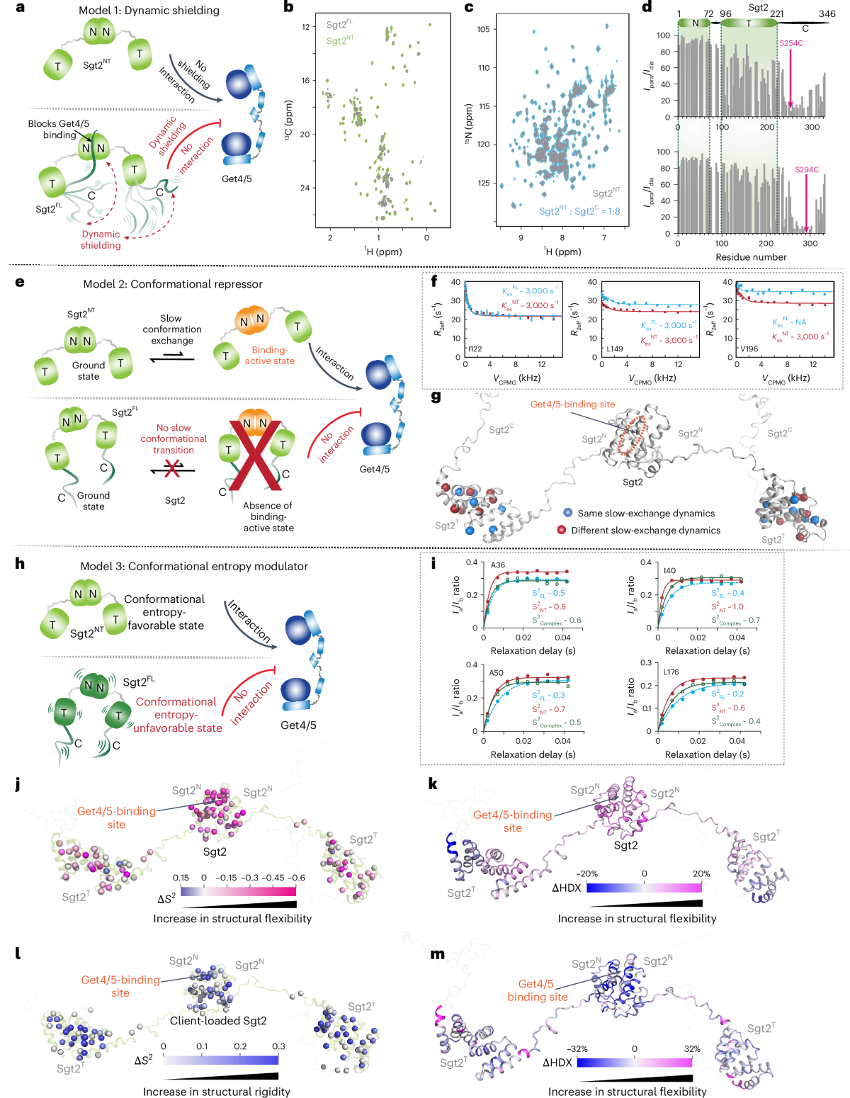 Remote on–off switching of protein activity by intrinsically disordered  region | Nature Structural & Molecular Biology
