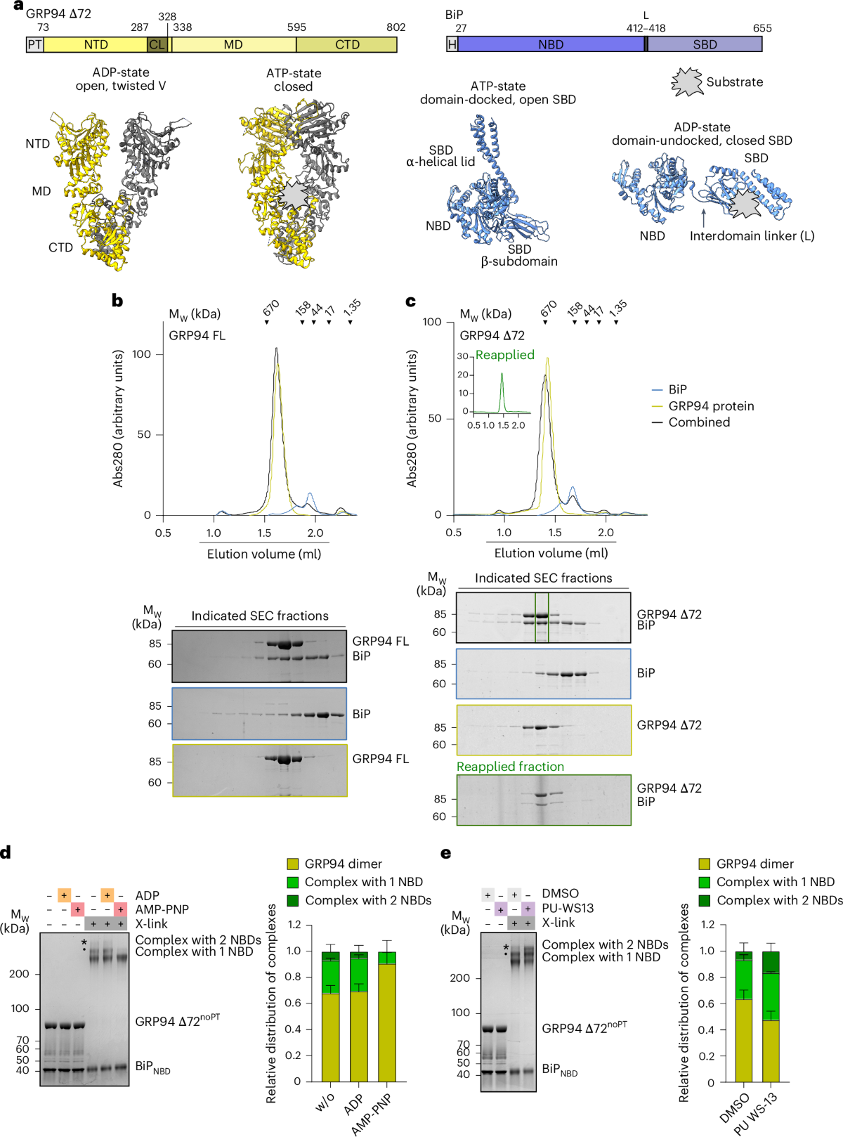 Conformational plasticity of a BiP–GRP94 chaperone complex | Nature  Structural & Molecular Biology