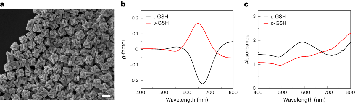 Synthesis of chiral gold helicoid nanoparticles using glutathione