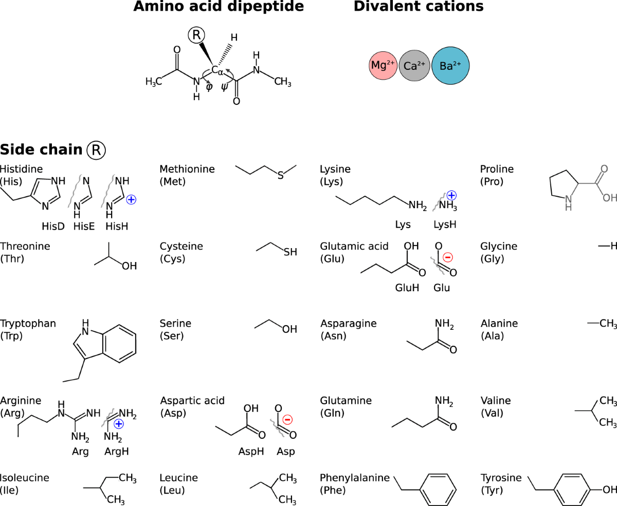 Better force fields start with better data: A data set of cation dipeptide interactions | Scientific Data better-force-fields-start-with-better-data-a-data-set-of-cation-dipeptide-interactions-scientific-data