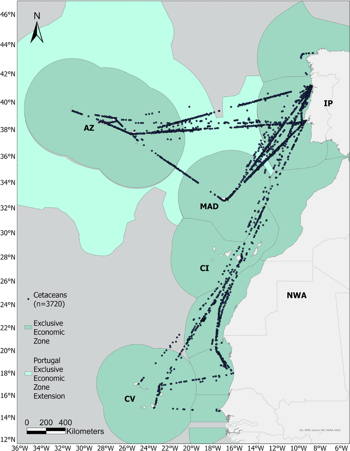 Assessing data bias in visual surveys from a cetacean monitoring programme  | Scientific Data