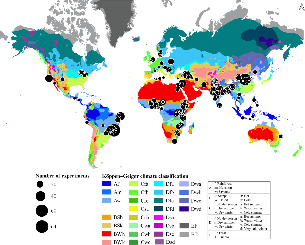 Onion pedo A global dataset of experimental intercropping and agroforestry studies in  horticulture | Scientific Data