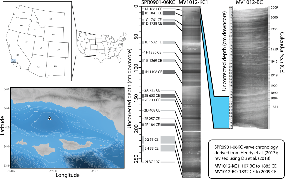 An 800-year record of benthic foraminifer images and 2D morphometrics from  the Santa Barbara Basin | Scientific Data, image size:1200x756
