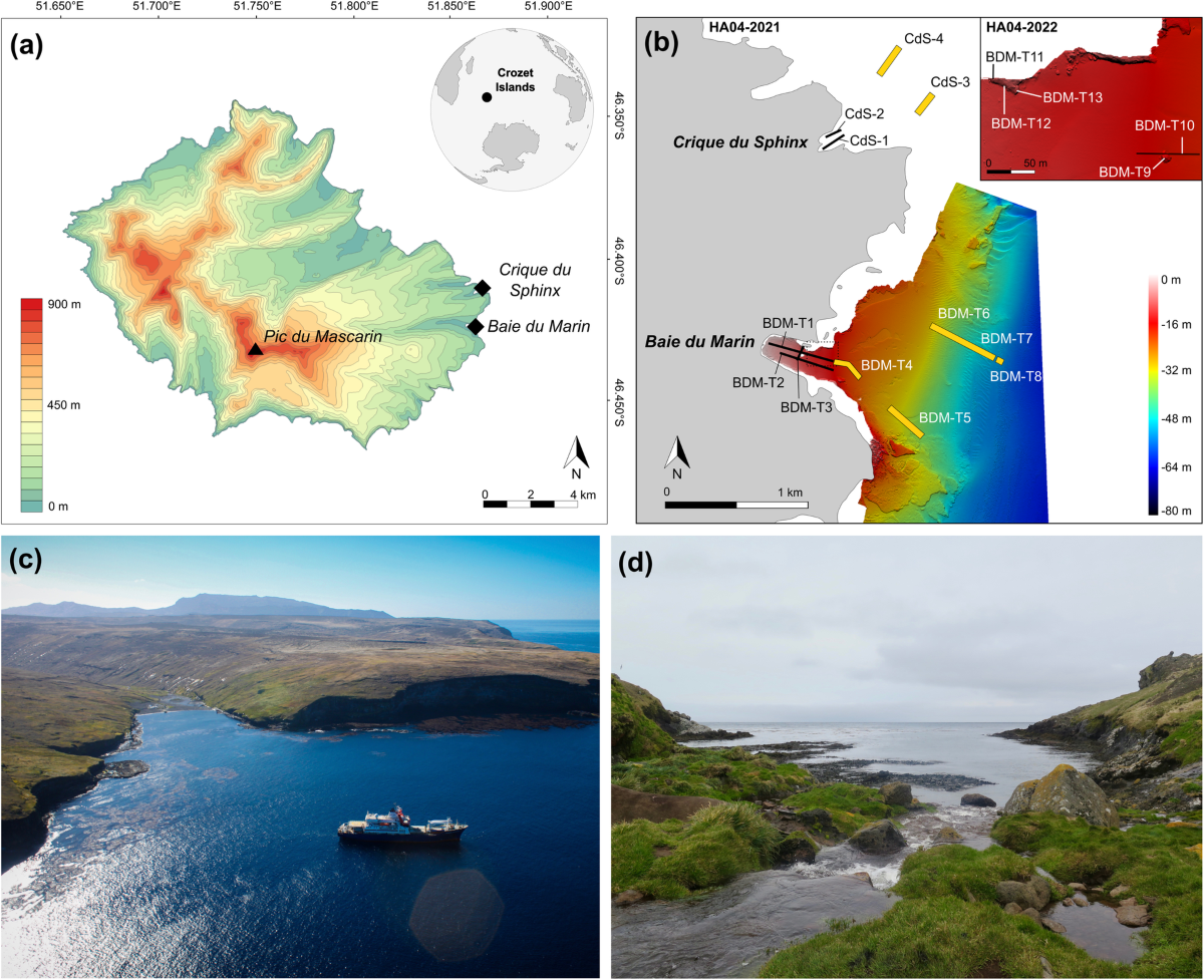 MEDUSA: Marine benthic Ecological Data from Underwater imagery Surveys of  sub-Antarctic Crozet environments | Scientific Data
