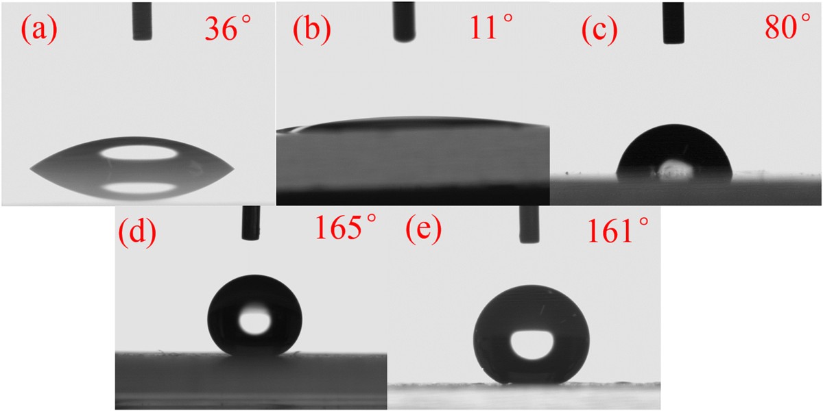 dihexa hydrophobic Dihexa – Research-Grade Neurotrophic Molecule
