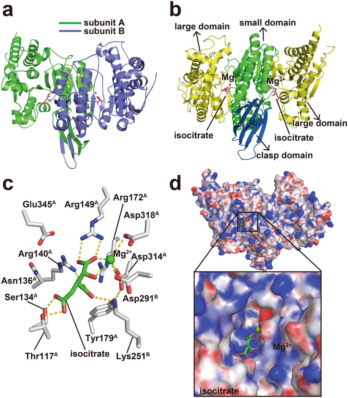 igf-1 lr3 nasal spray Buy IGF-1 LR3 Nasal Spray UK PharmaLabGlobal