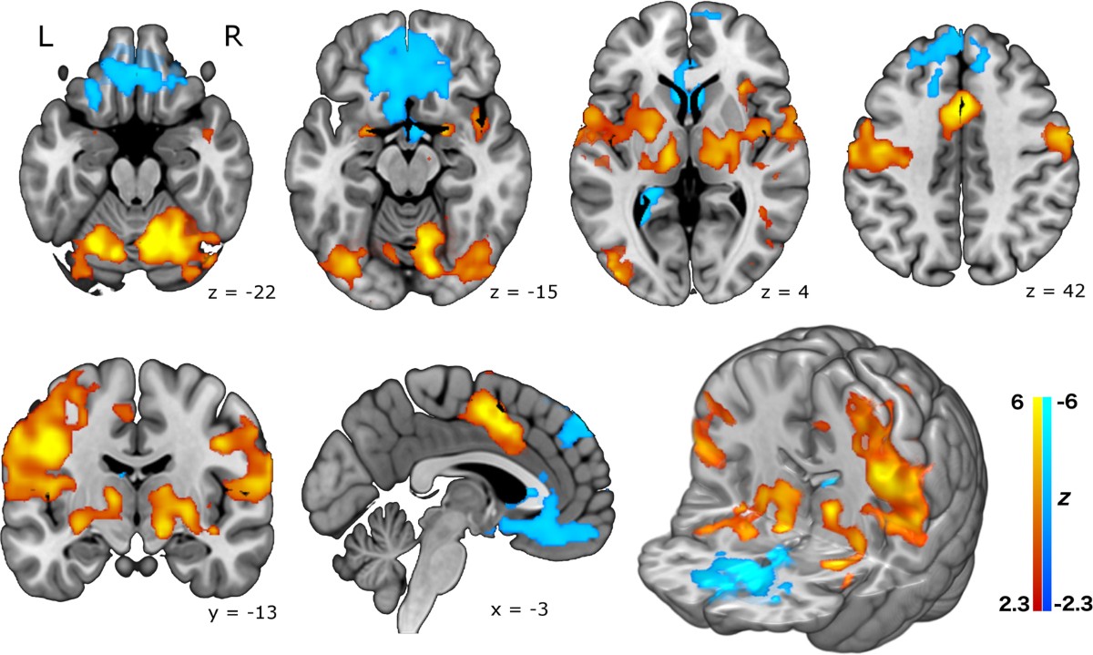 brains smoke and vape Brain's Smoke and Vape main image 1