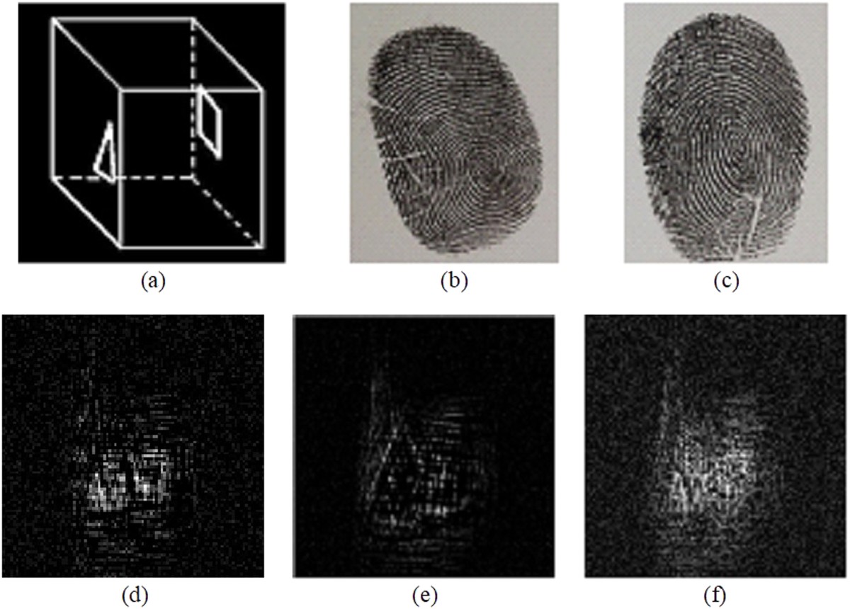 Optical cryptography with biometrics for multi-depth objects 