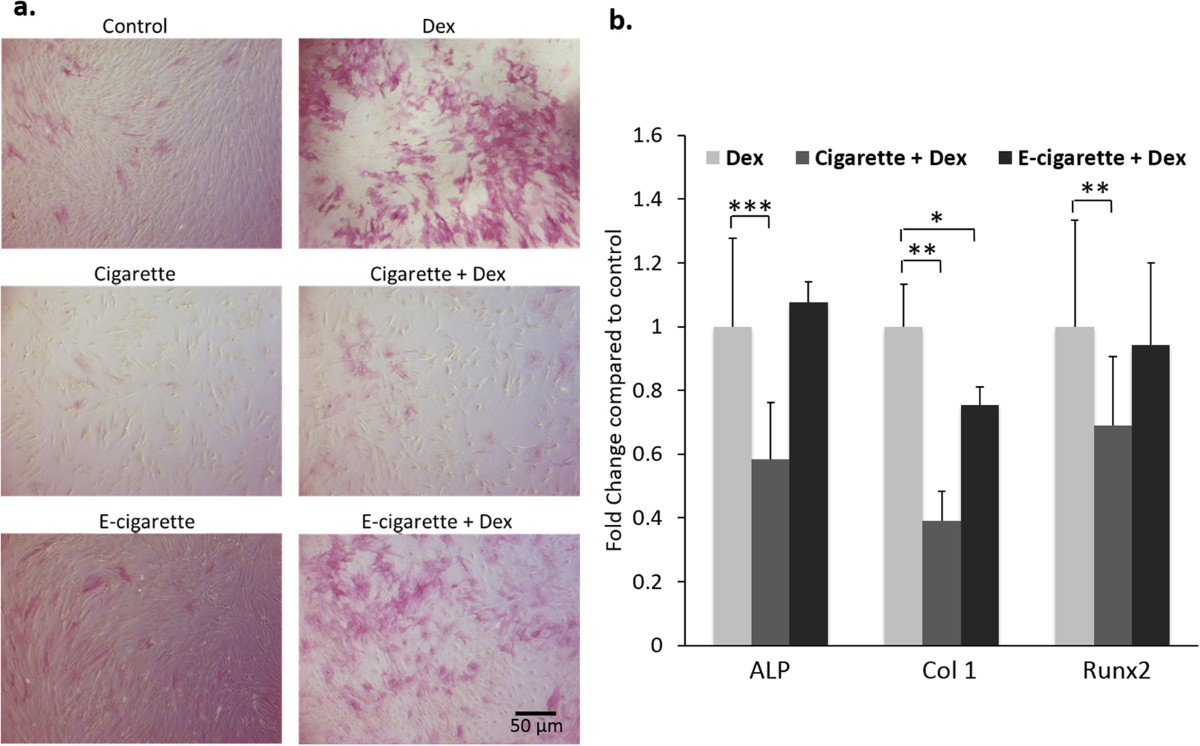what happens if we smoke 10 cigarettes a day The Benefits After Just One Month Of Quitting Cigarettes – SMOKO E  Cigarettes