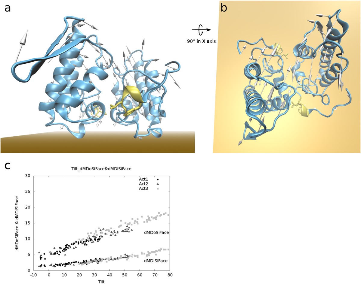 PLA2-like proteins myotoxic mechanism: a dynamic model description |  Scientific Reports