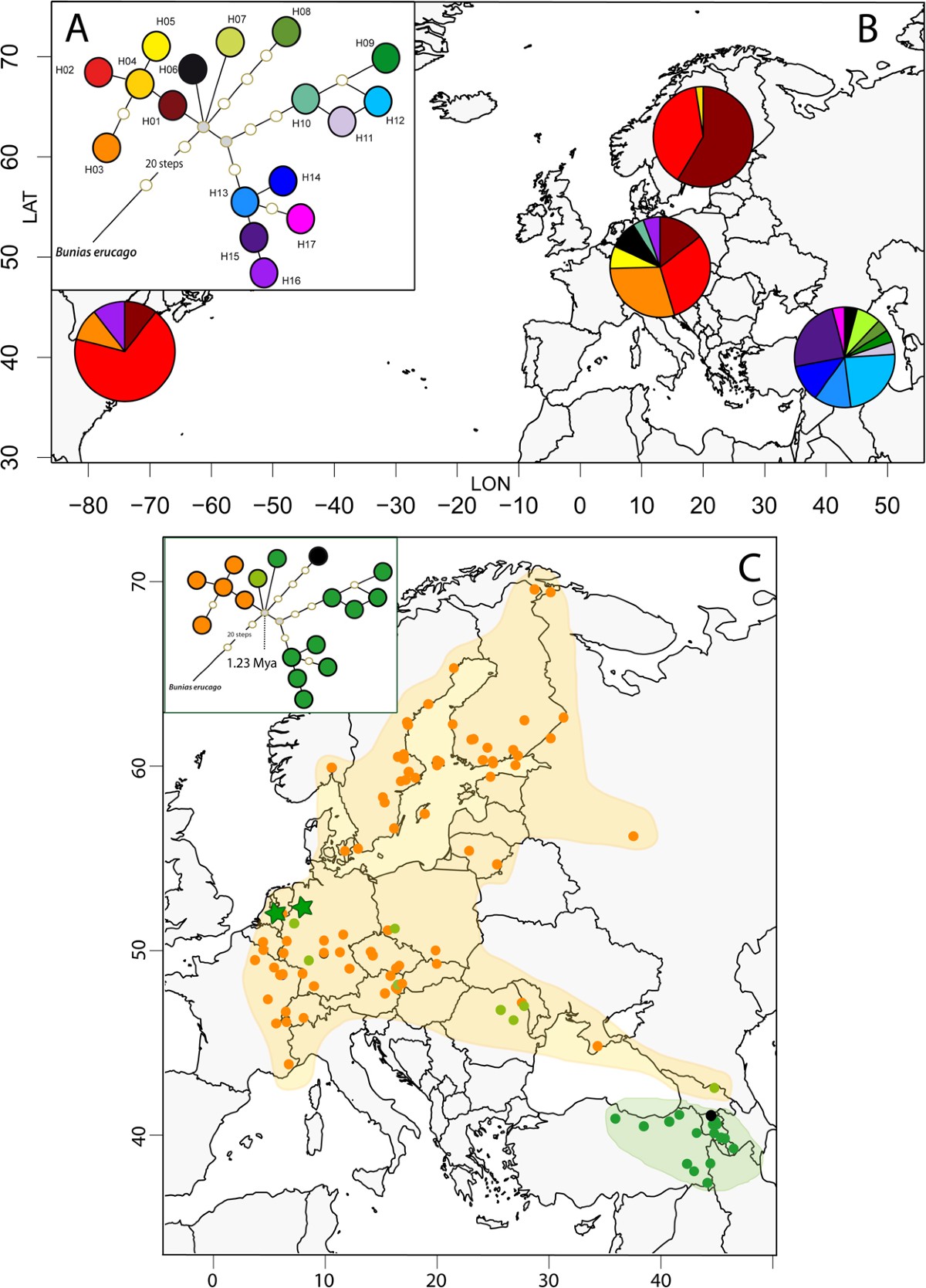 Early-Mid Pleistocene genetic differentiation and range expansions as  exemplified by invasive Eurasian Bunias orientalis (Brassicaceae) indicates  the Caucasus as key region | Scientific Reports