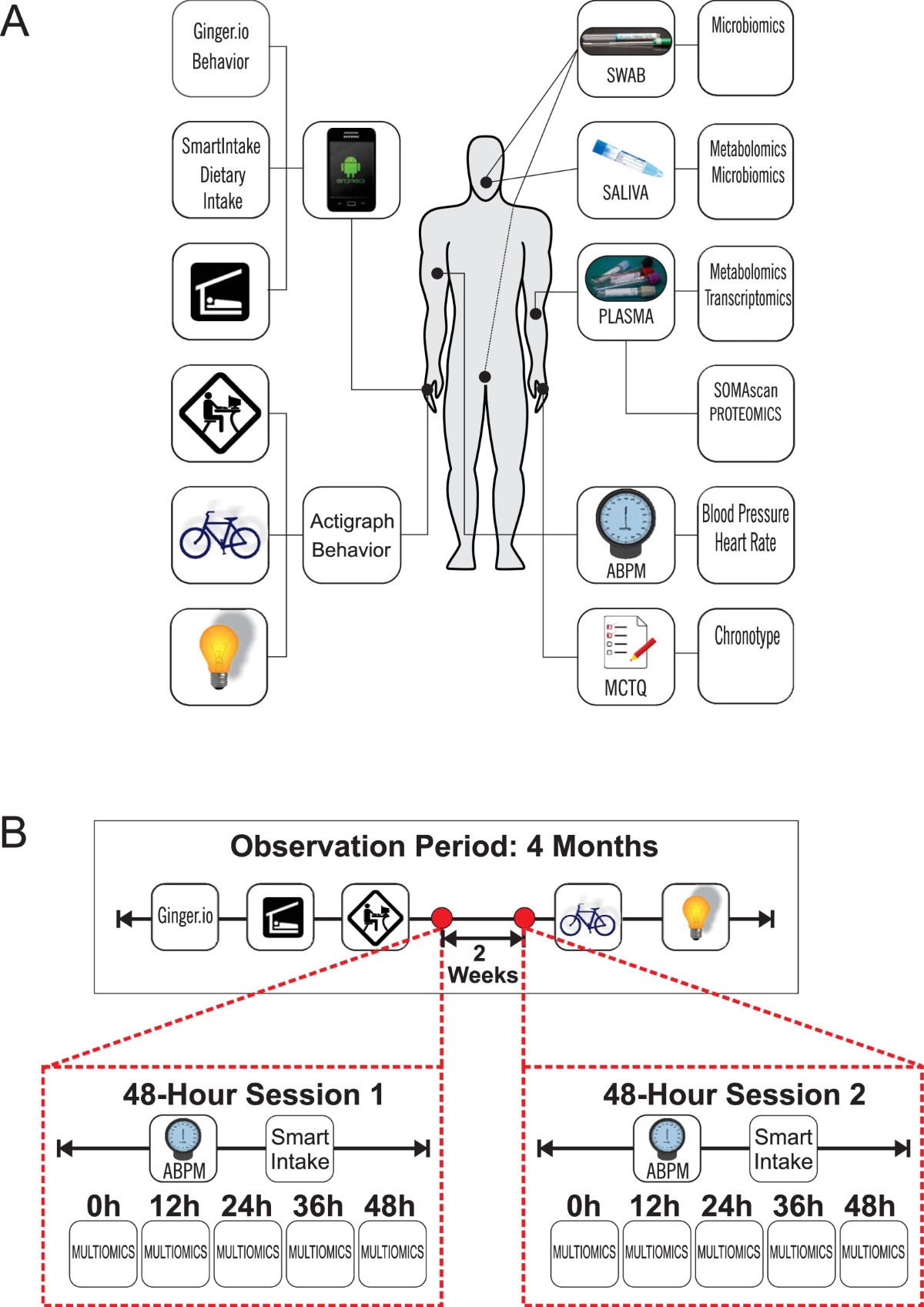 A Pilot Characterization of the Human Chronobiome | Scientific Reports