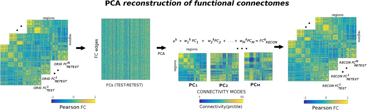 磁共振矩阵怎么计算使用PCA处理FMRI数据的详细教程_https://www.jmylbn.com_新闻资讯_第2张