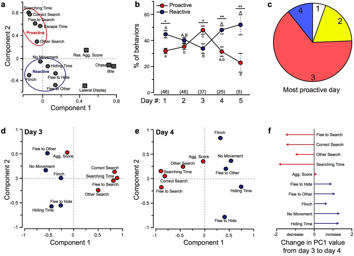 Neural and behavioural correlates of repeated social defeat | Scientific  Reports