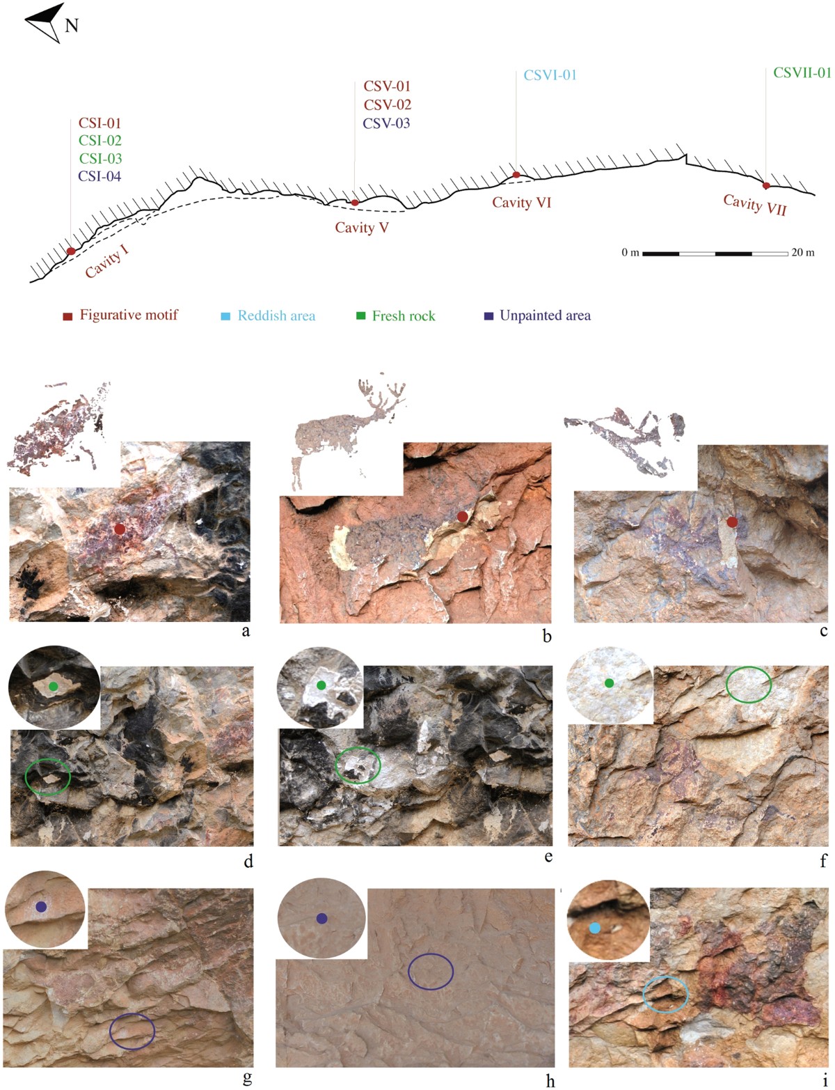 Proteomic and metagenomic insights into prehistoric Spanish Levantine Rock  Art