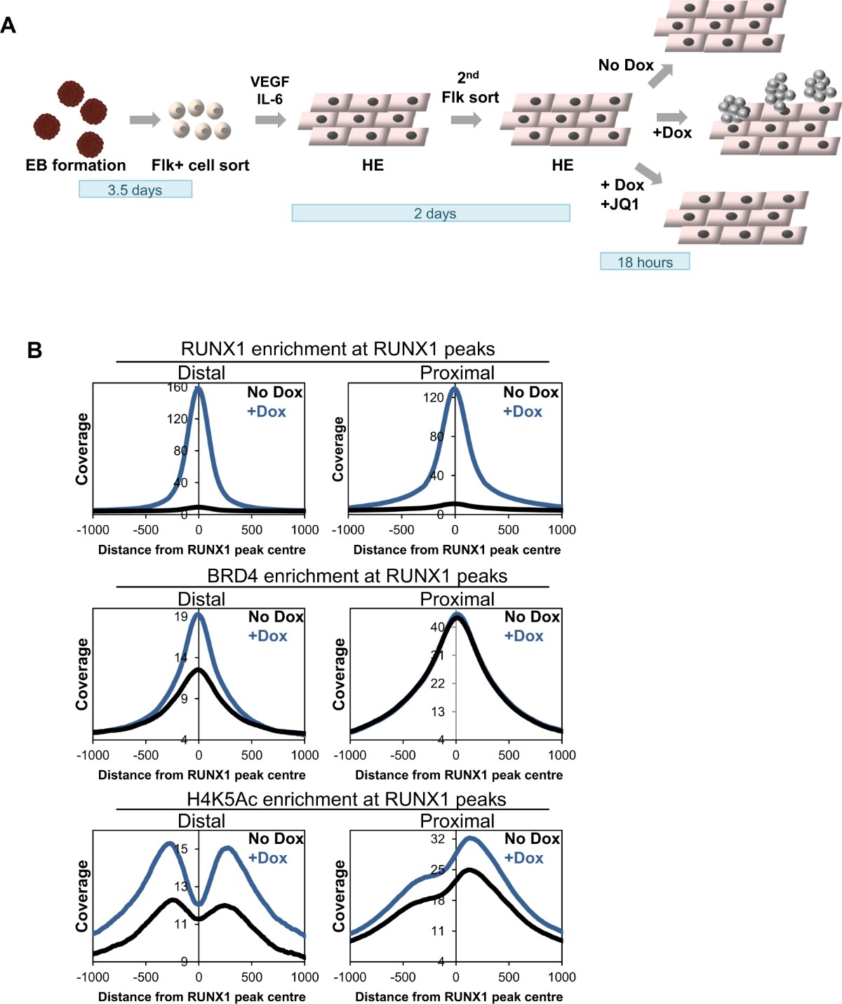 The Co-operation of RUNX1 with LDB1, CDK9 and BRD4 Drives Transcription  Factor Complex Relocation During Haematopoietic Specification | Scientific  Reports