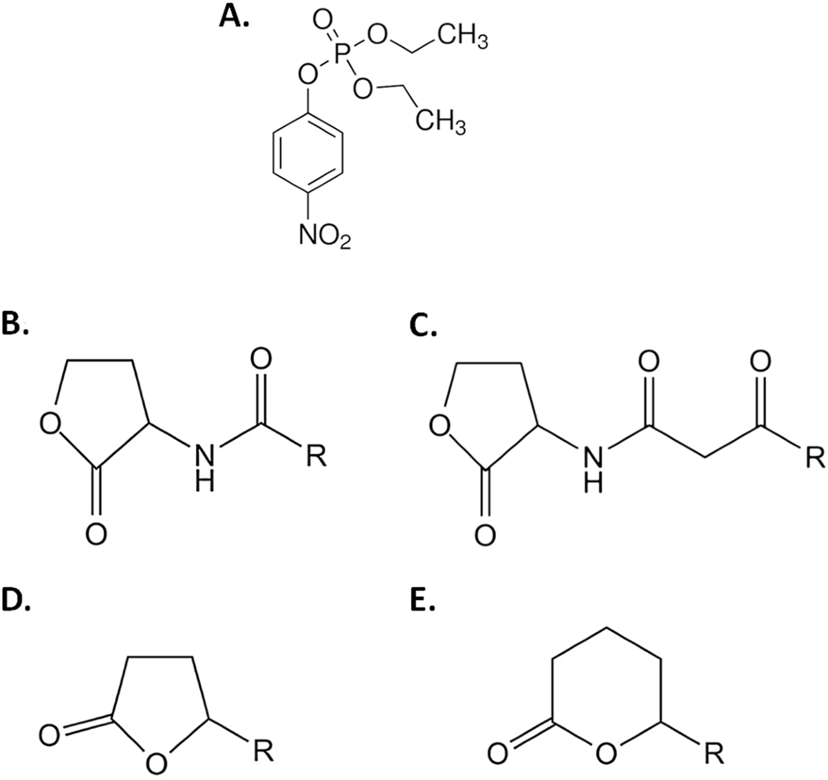 Structural and Biochemical Characterization of AaL, a Quorum Quenching  Lactonase with Unusual Kinetic Properties | Scientific Reports