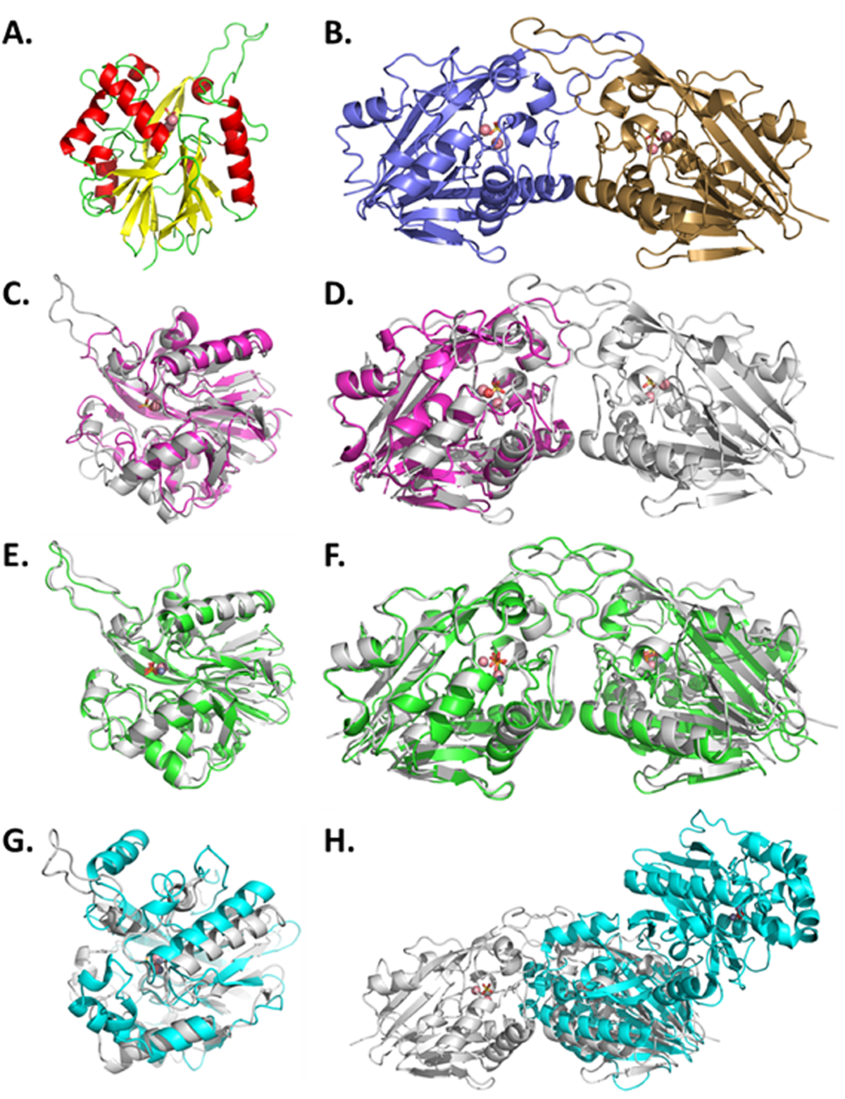 Structural and Biochemical Characterization of AaL, a Quorum Quenching  Lactonase with Unusual Kinetic Properties | Scientific Reports