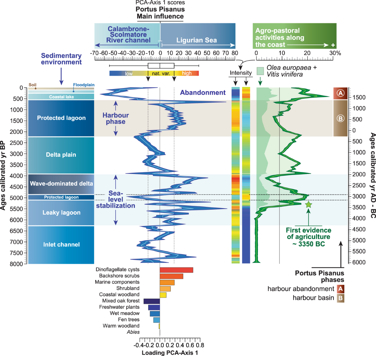 Holocene evolution of Portus Pisanus, the lost harbour of Pisa | Scientific  Reports, image size:1200x1136