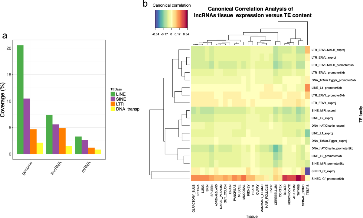 Characterisation and functional predictions of canine long non-coding RNAs  | Scientific Reports