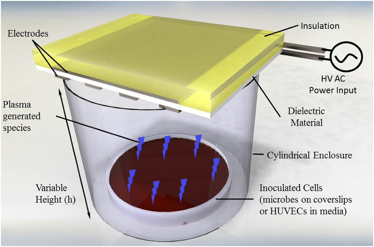 Investigation of the Roles of Plasma Species Generated by Surface  Dielectric Barrier Discharge | Scientific Reports