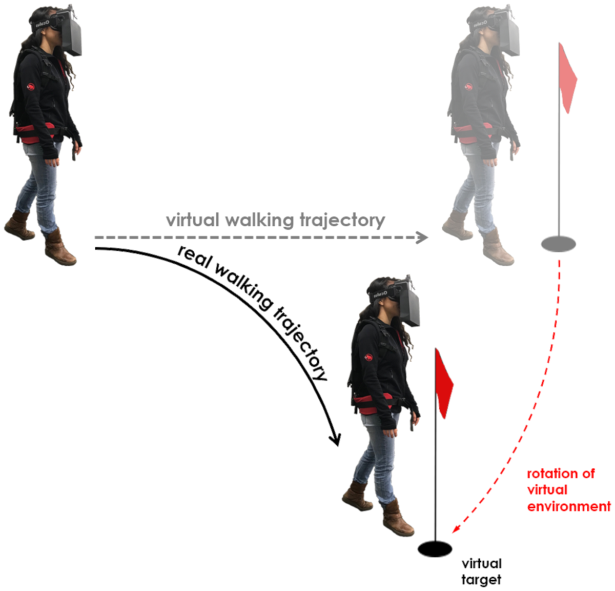 Visual capture of gait during redirected walking | Scientific Reports
